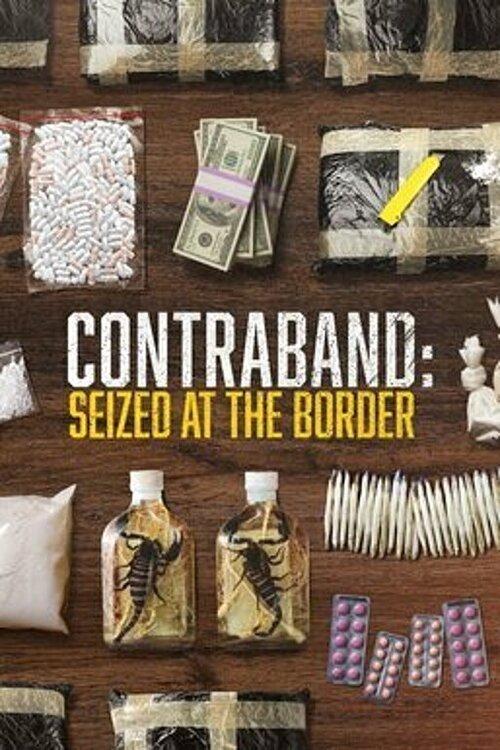 Contraband: Seized at the Border poster