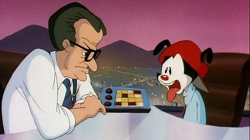 Animaniacs Season 3 Episode 6 - Wakko's New Gookie