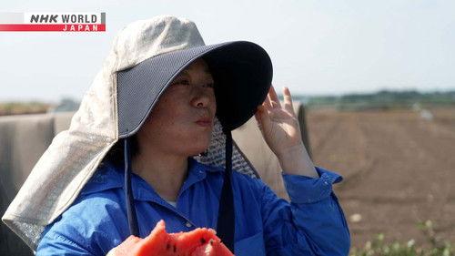 Zero Waste Life Season 4 Episode 17 - Farmer's Veggie Soap