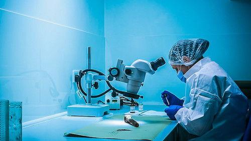 Forensics: The Real CSI Season 4 Episode 2 - Time of Death