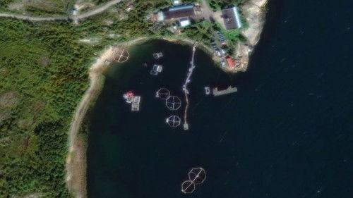 What on Earth? Season 7 Episode 10 - Hunt for Atlantis