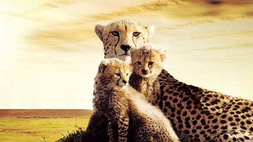 Air Farce Live Season 7 Episode 2 - Episode 7-01