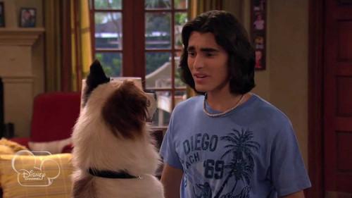 Dog with a Blog Season 1 Episode 12 - Freaky Fido