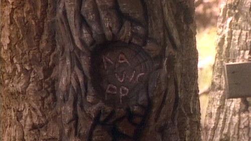 The Wonder Years Season 2 Episode 16 - Whose Woods Are These?