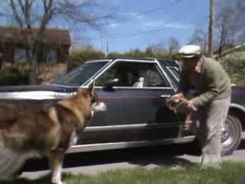 The Littlest Hobo Season 5 Episode 3 - Scavenger Hunt (2)
