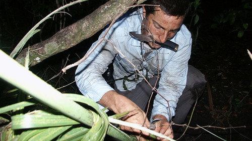 Man vs. Wild Season 1 Episode 10 - Everglades