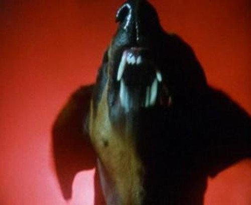 Robin of Sherwood Season 3 Episode 10 - The Pretender