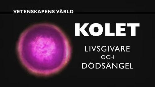 Vetenskapens värld Season 48 Episode 25 - Episode 25