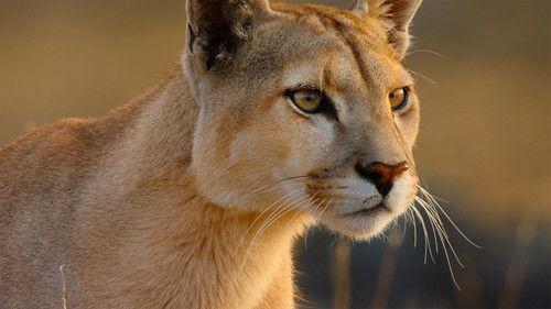 Our Great National Parks Season 1 Episode 2 - Chilean Patagonia