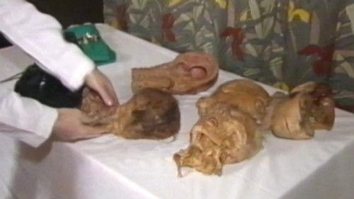 Argos TV - Medialogic Season 6 Episode 3 - Episode 3