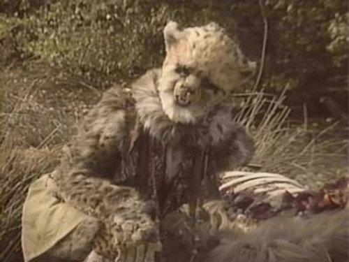 Doctor Who Season 26 Episode 14 - Survival (3)
