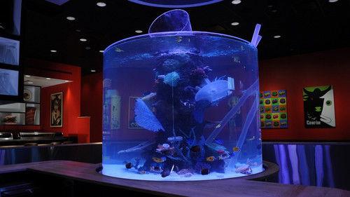 Tanked Season 3 Episode 7 - Nigiri and the NBA