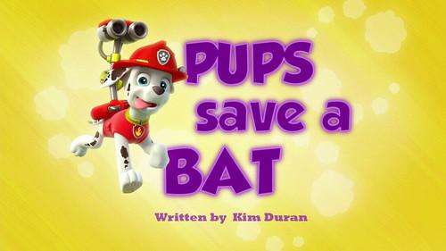undefined Season 1 Episode 37 - Pups Save a Bat