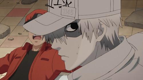 Cells at Work! Season 1 Episode 2 - Scrape Wound