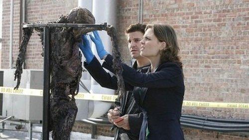 Bones Season 2 Episode 11 - Judas on a Pole