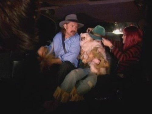 undefined Season 1 Episode 2 - Miley Get Your Gum