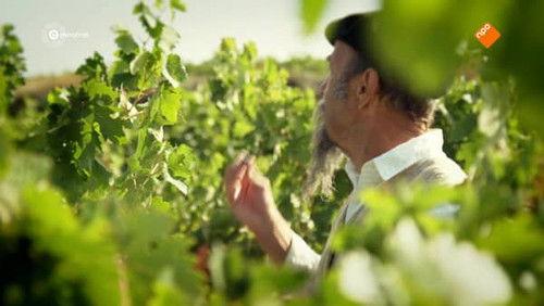 Gort over de grens Season 3 Episode 2 - Episode 2