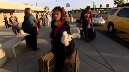 The Real World Season 14 Episode 22 - Too Punk Rock For This