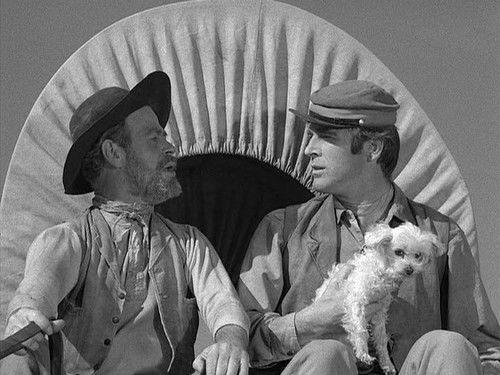 Rawhide Season 2 Episode 30 - Incident of the Silent Web