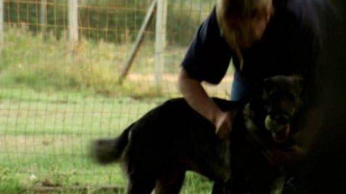 The Haunted Season 1 Episode 16 - Land of Misery