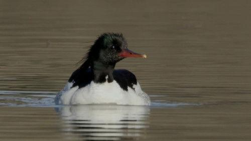 Unexplored Land Season 1 Episode 4 - Episode 4