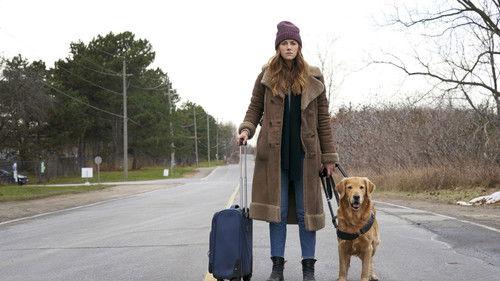 In the Dark Season 3 Episode 3 - Somewhere Over the Border