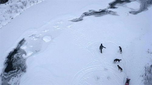 Life Below Zero Season 21 Episode 4 - Off the Deep End