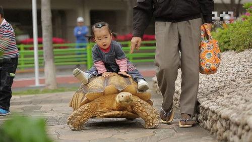 World Inside Out Season 9 Episode 4 - Episode 4