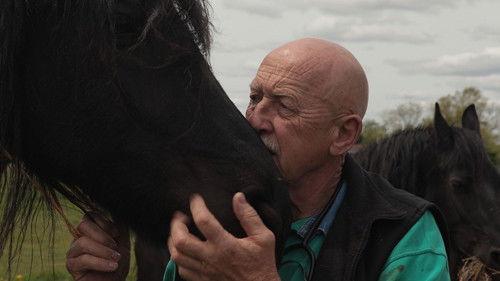 The Incredible Dr. Pol Season 1 Episode 2 - How Now Downed Cow?