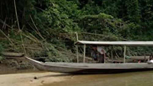 Wild Things with Dominic Monaghan Season 1 Episode 7 - Giant Malaysian Honey Bees