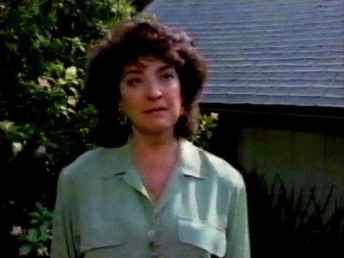 Jake and the Fatman Season 4 Episode 14 - Daddy's Home