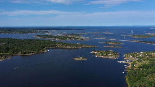 mare TV Season 21 Episode 20 - Episode 20