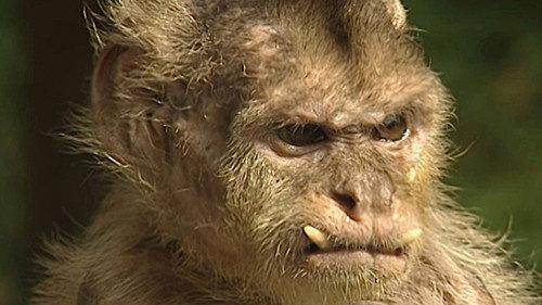 Monkey Business Season 6 Episode 1 - Episode 1