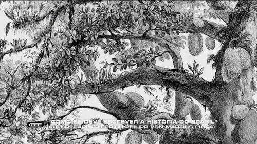 O Enigma da Energia Escura Season 1 Episode 3 - Episode 3