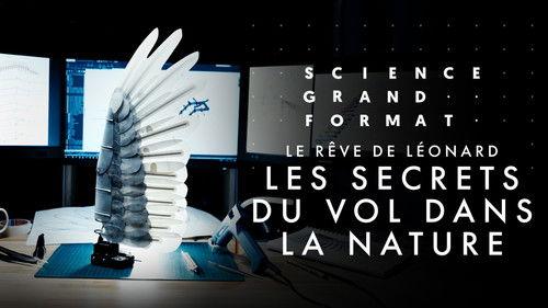 Science grand format Season 8 Episode 17 - Episode 17