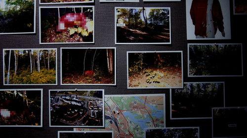 Svenska fall Season 12 Episode 8 - Episode 8