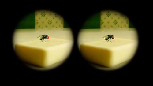 Minuscule: The Private Life of Insects Season 1 Episode 24 - No Luck