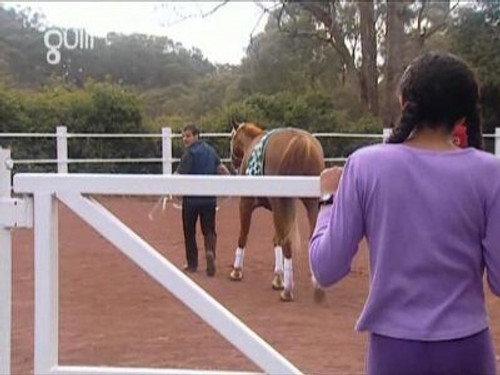 The Saddle Club Season 2 Episode 23 - High Stakes (2)