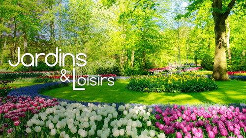 Jardins & Loisirs Season 25 Episode 19 - Episode 19