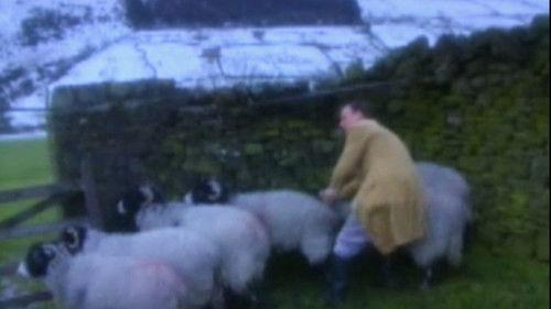 All Creatures Great and Small Season 6 Episode 4 - The Nelson Touch