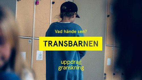 Uppdrag granskning Season 22 Episode 23 - Episode 23