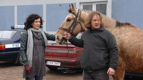 Ranczo Season 3 Episode 7 - The cause