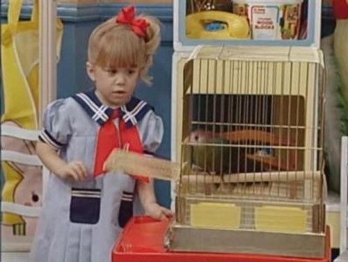 Full House Season 3 Episode 16 - Bye, Bye Birdie