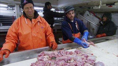 Dirty Jobs Season 4 Episode 8 - Floating Fish Factory