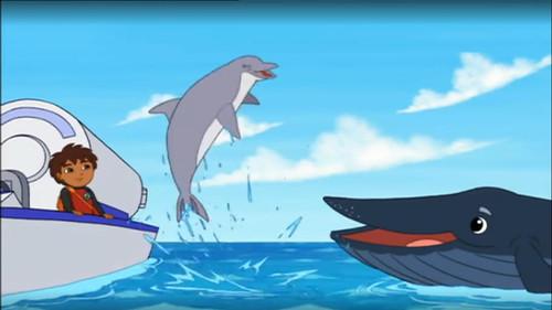 Go, Diego, Go! Season 4 Episode 11 - Ocean Animal Rescuer