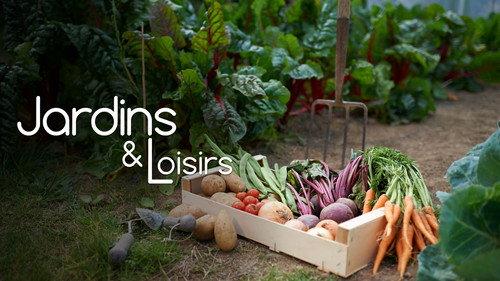 Jardins & Loisirs Season 25 Episode 25 - Episode 25