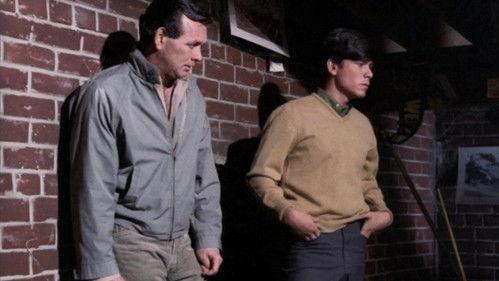 The Fugitive Season 4 Episode 24 - The Savage Street