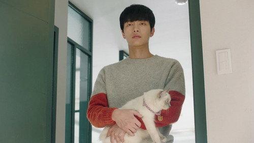 Because This Is My First Life Season 1 Episode 16 - Because This is My First Life