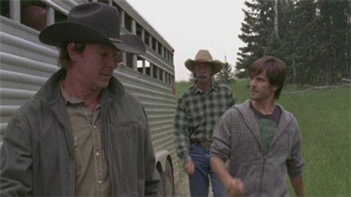 Heartland Season 4 Episode 9 - Local Hero