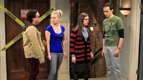 The Big Bang Theory Season 6 Episode 15 - The Spoiler Alert Segmentation